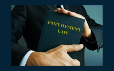 No Warnings, Progressive Discipline, HR Consultation or Investigation: No Just Cause and Contractual Severance Applies